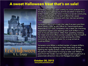 BOOK BLAST: An Erie Halloween by V.L. Locey