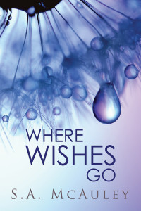 Buy Where Wishes Go by S.A. McAuley on Amazon