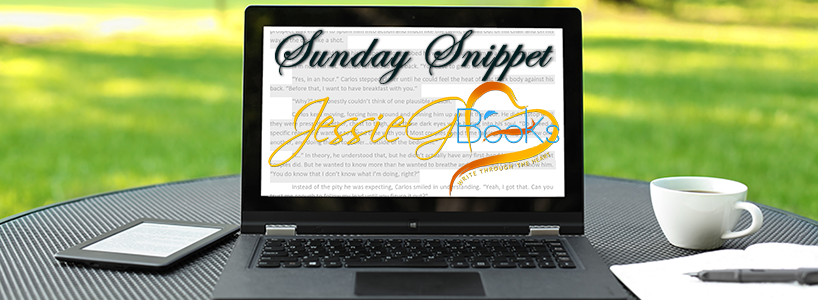 Sunday Snippet 2017