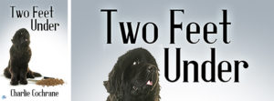 Buy Two Feet Under by Charlie Cochrane on Amazon